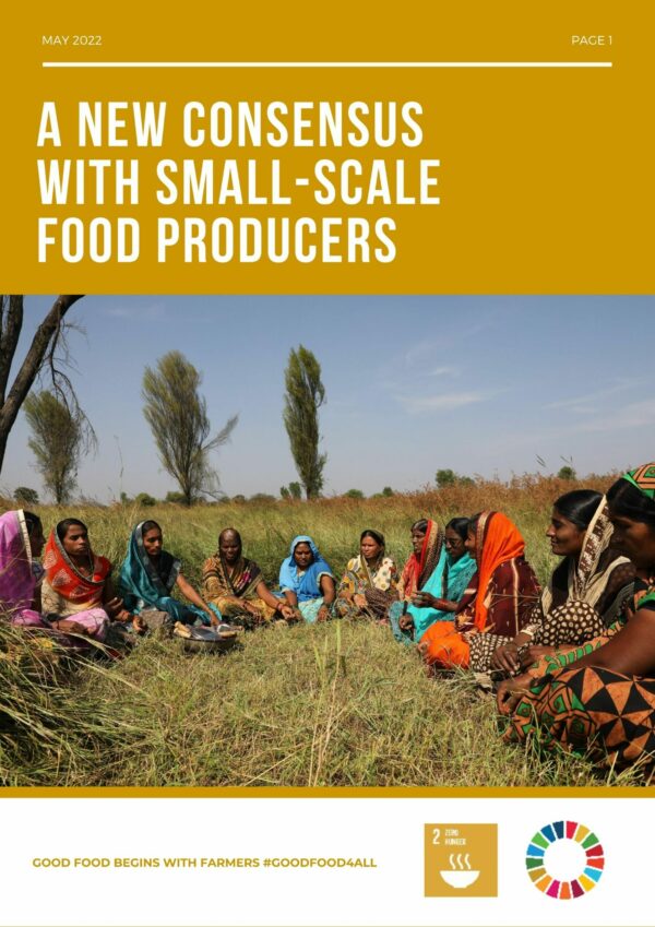 Small-Scale Food Producers: Challenges and Implications for SDG2