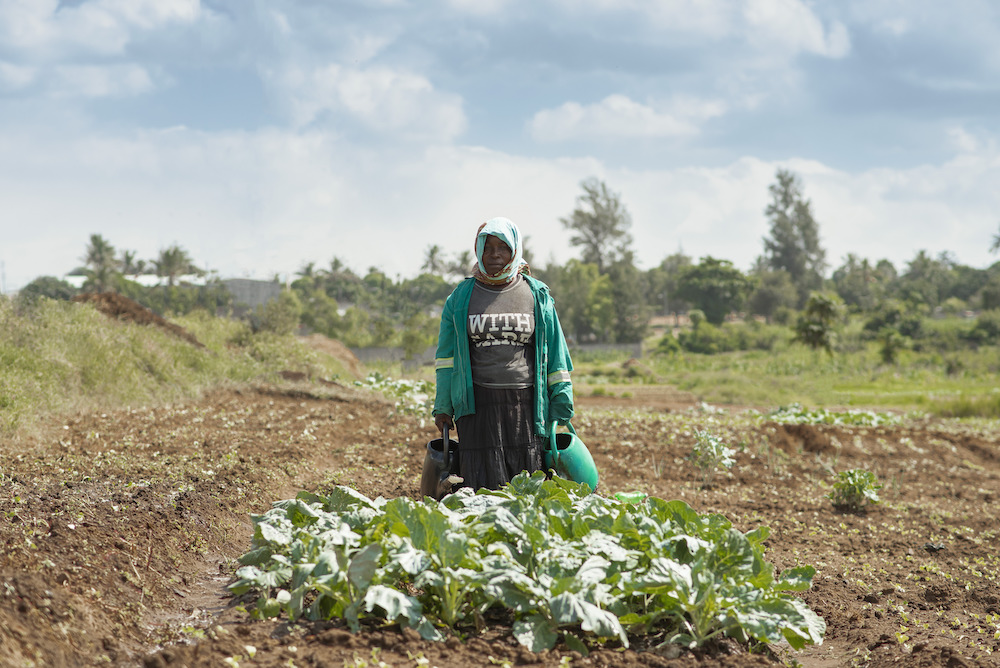 Small-Scale Food Producers 