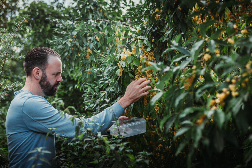 Food Forests Emile van der Staak