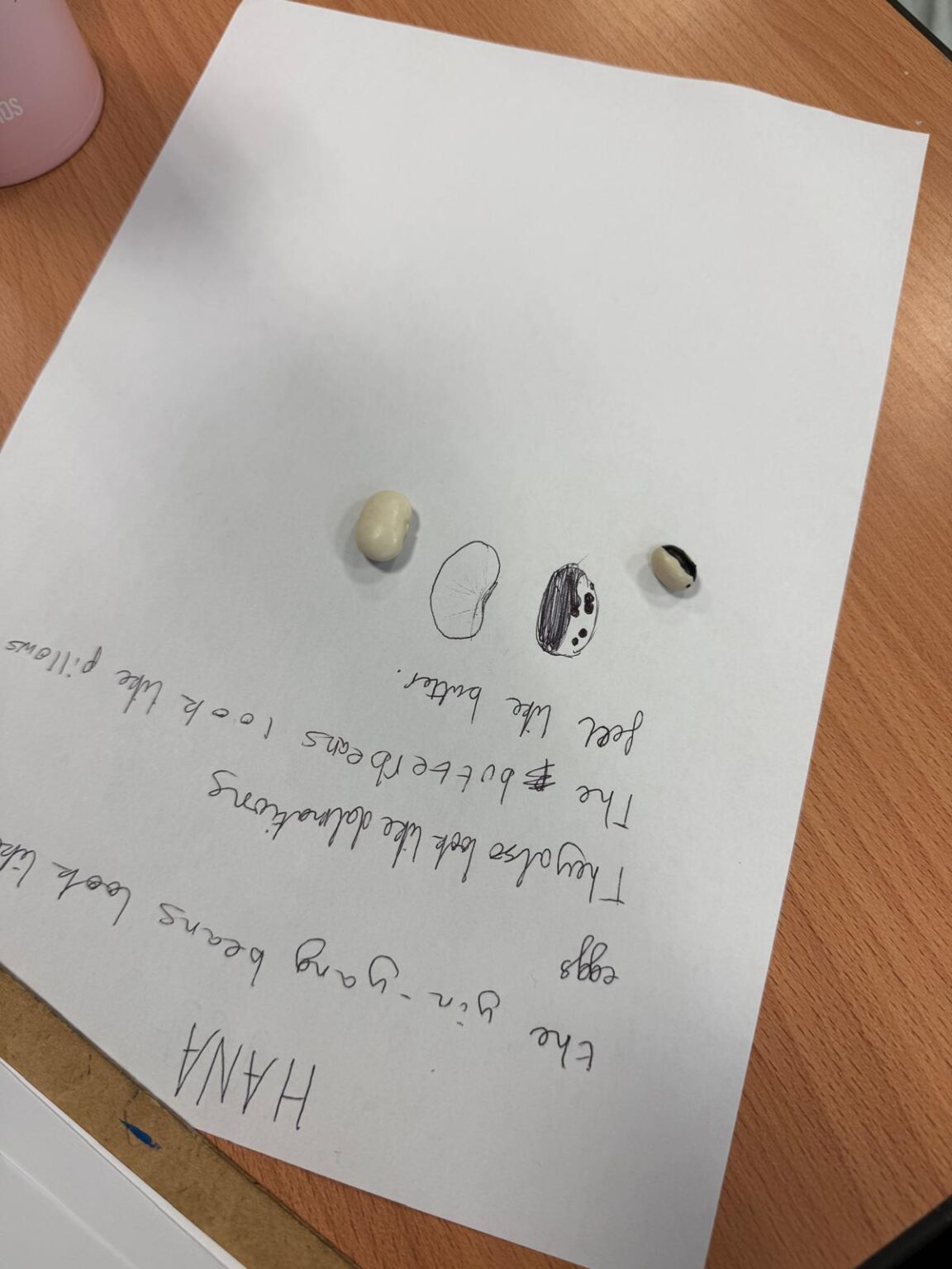 Beans in Schools | SDG2 Advocacy Hub